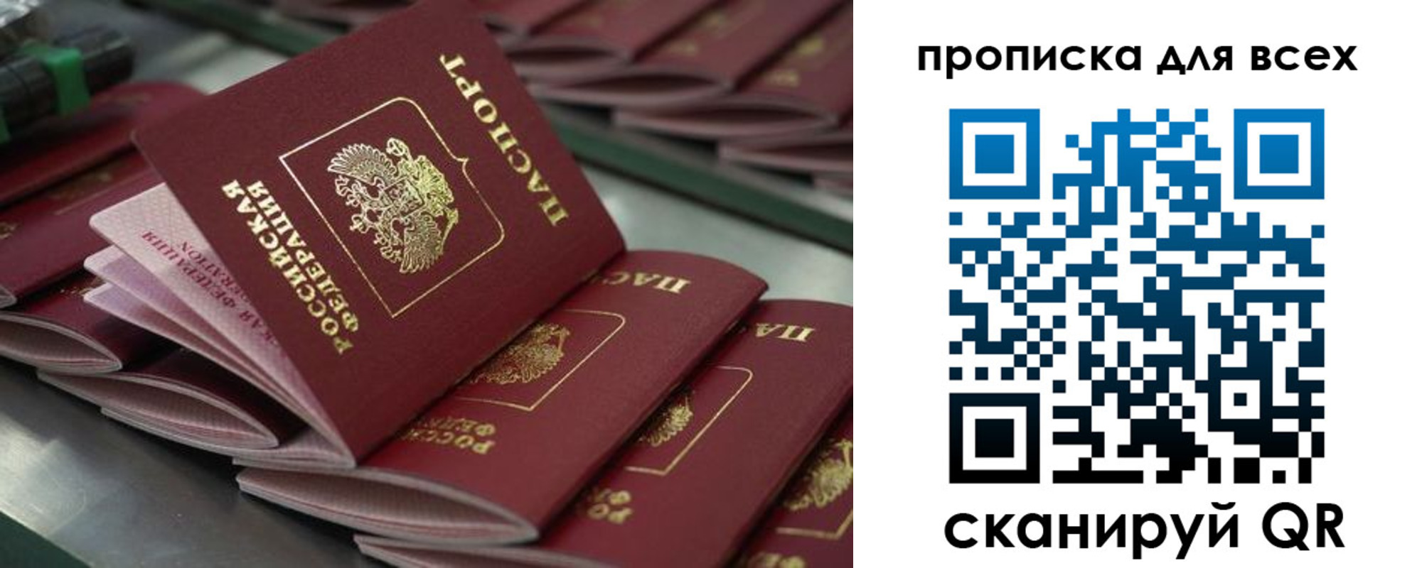 найти адрес прописки в Курске